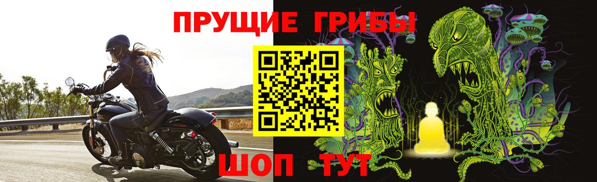 Галлюциногенные грибы прущие грибы Моздок